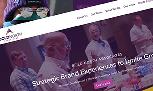 Bold North Associates